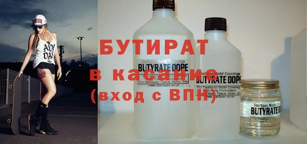 индика Ельня
