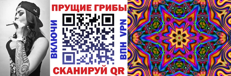 закладки  Дубовка  Галлюциногенные грибы мицелий 